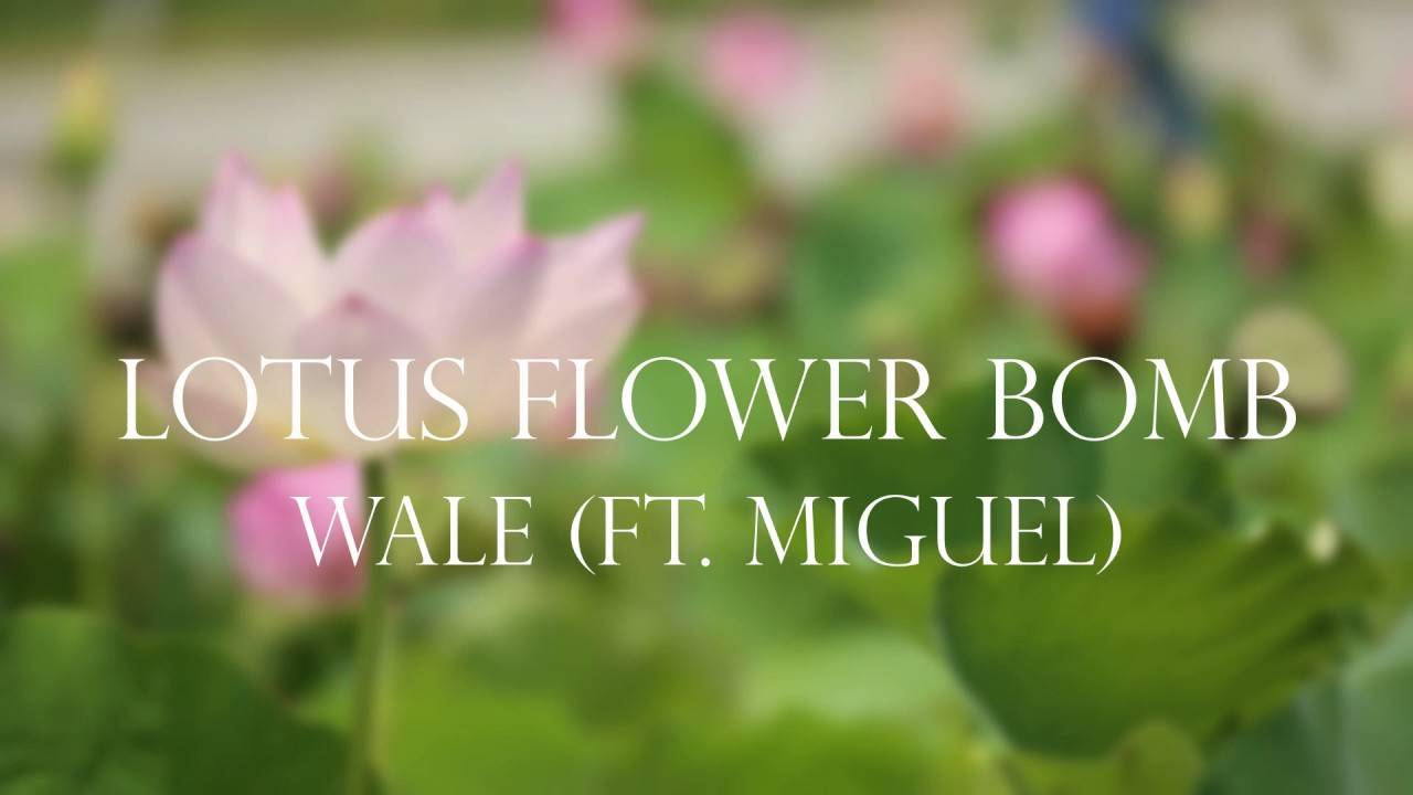 Wale (feat. Miguel) Lotus Flower Bomb (Remix) YouTube