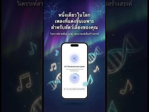 ภาพหน้าจอ