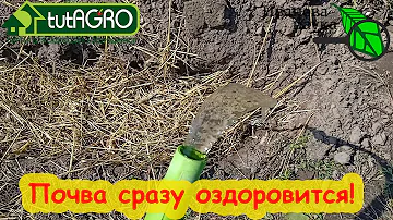 ОБЕЗЗАРАЖИВАНИЕ, ОБЕЗВРЕЖИВАНИЕ и ДЕЗИНФЕКЦИЯ ПОЧВЫ ПОСЛЕ БОЛЕЗНЕЙ БИОТРАНШЕЙНЫМ МЕТОДОМ.