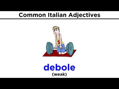 Italian Adjectives: Grammar and Vocabulary