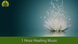 ... by meditation and healing. this is 1 hour flute healing music to
relax yo...