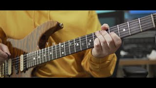 Seven Lions | "The Journey" Guitar Cover (Claudio Pietronik)