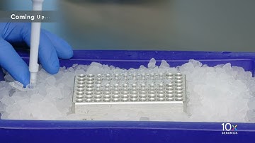 Single Cell Gene Expression HT Protocol v3.1 | Getting Started