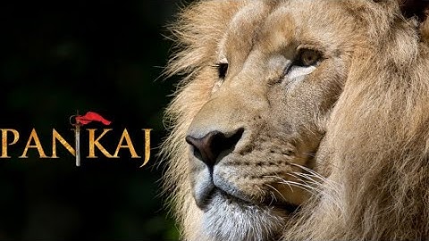 #Pankaj Pankaj name status video New pankaj name status video best 2021 #Shooterpankajak47