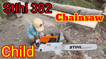 Chainsaw 🔴 Cutting teak wood using a STIHL MS 250 chainsaw, the fallen king of the west.