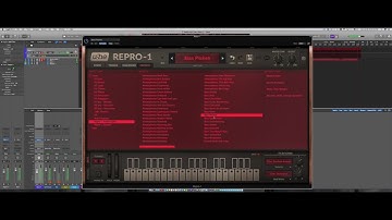 Repro-1 Anamorphia Walkthrough Video