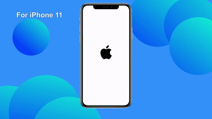 When I Unlock My iPhone 11, The Screen Goes Black [Solved]