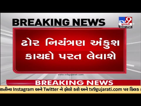 ઢોર નિયંત્રણ અંકુશ કાયદો પરત લેવાશે | TV9News