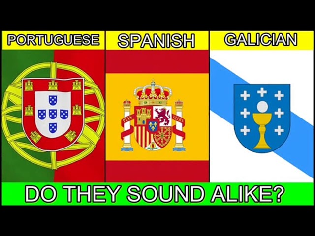 Galician vs Portuguese (How SIMILAR are they?) 