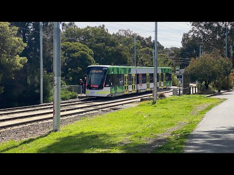 Trams and Trains