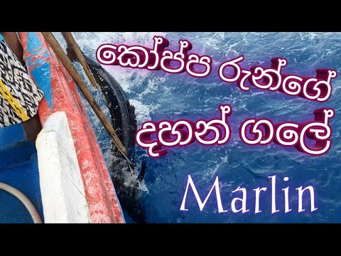 Marlin fishing episode 1