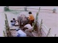 Rajinikanth Kidnapping Baby Elephant - Annai Oru Aalayam