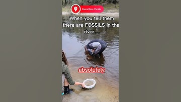 Fossils in the River!? Am I NUTS? #shorts #sharkteeth #SHARK #FOSSILS #funny #FOSSIL #ancient #HUNT