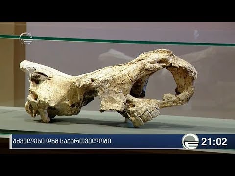 უძველესი დნმ საქართველოში