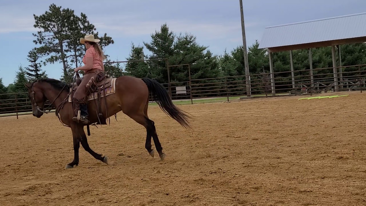 48 sr sr ranch riding erica mayer / Look who whiz larkin - YouTube