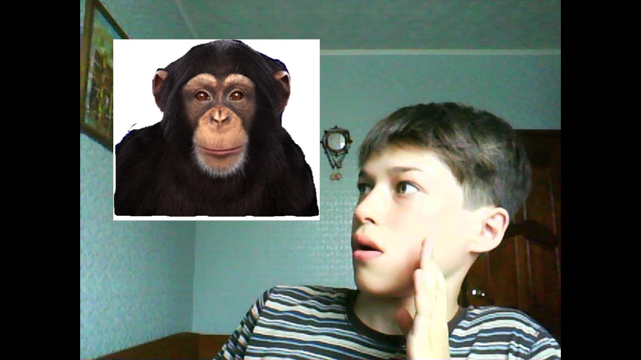 Бот обезьяна. Обезьянка в чате. Тролль бот шимпанзе Мем. Бот обезьяна тг.
