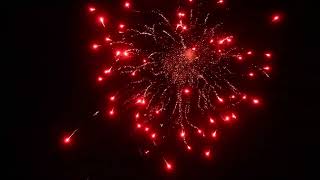 6 GO GETTER STARBOMB SHELL CRACKLING PISTIL