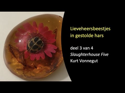 Video: Het verhaal van een gemeenschappelijk appartement (het verhaal is een leugen, maar er zit een hint in)