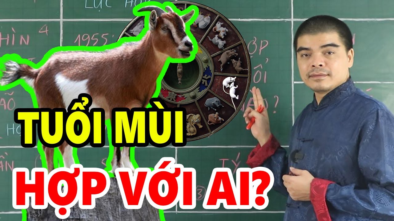 Tuổi MÙI (tuổi con Dê) hợp với ai KẾT HỢP LÀM ĂN - KẾT HÔN - SINH CON hợp tuổi nào? Kỵ tuổi nào?