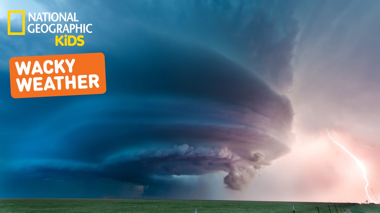 Wonder About Weather | Nat Geo Kids Weather Playlist