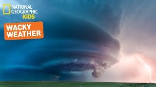 Wonder About Weather | Nat Geo Kids Weather Playlist