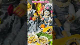 Happy Janmashtami 🙏🏻🌸 #shorts #ytshorts #minivlog #youtubeshorts #vlog