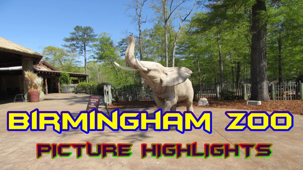 birmingham-zoo-highlights-youtube