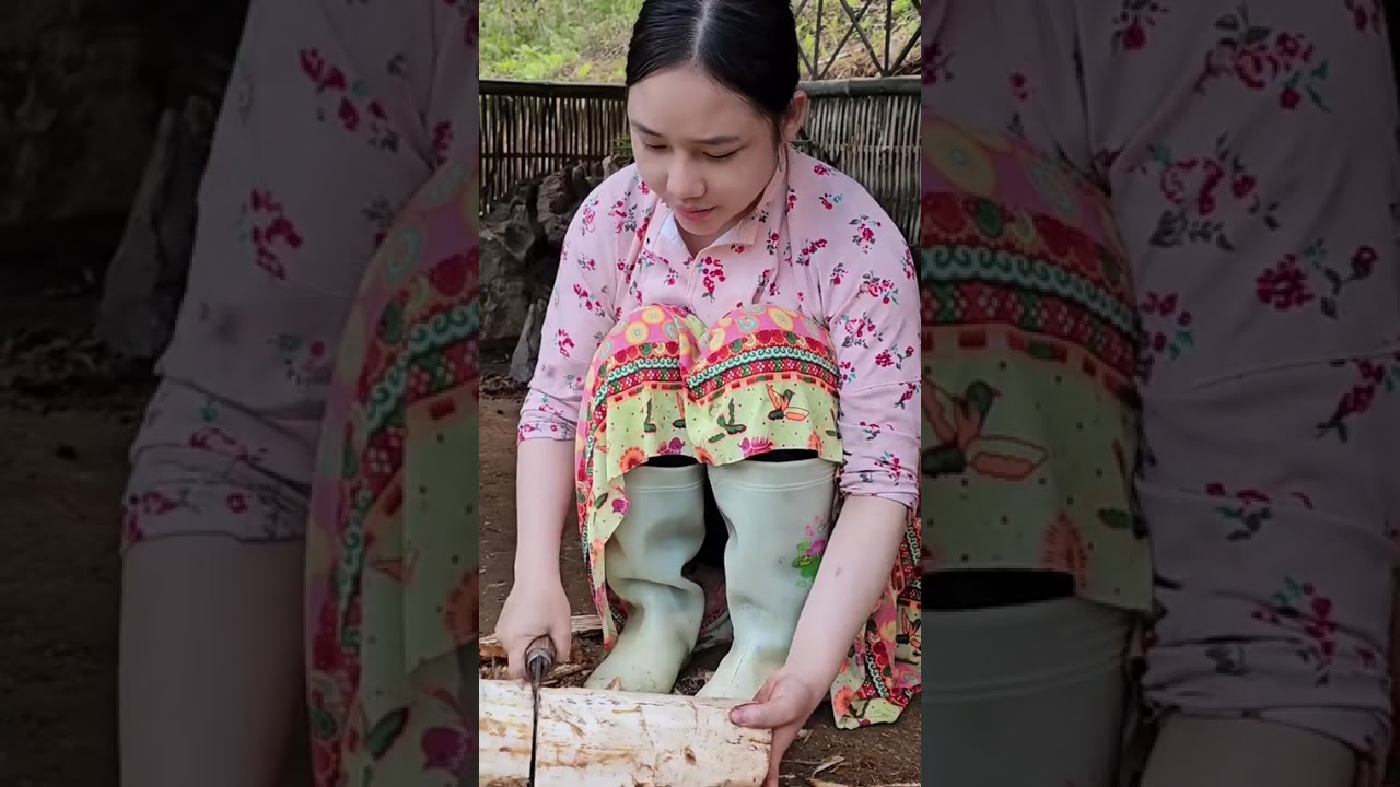 How to make cakes from natural forest trees