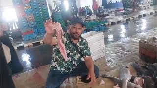 عيد مبارك سعيد جميع مغربا الله فرحكوم كملين يارب 2026..5..25..غدين البادية انشاء الله 