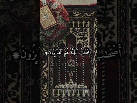 اسلام صبحي لا يستوي اصحاب النار و اصحاب الجنة سورة الحشر Quran تلاوة خاشعة قرآن تلاوة