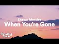 Shawn mendes  when youre gone lyrics