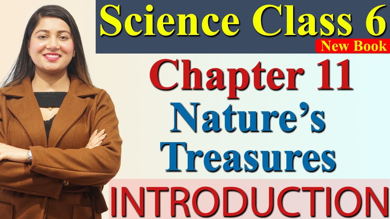 Introduction, Chapter 11 Nature’s Treasures Science Curiosity Class 6