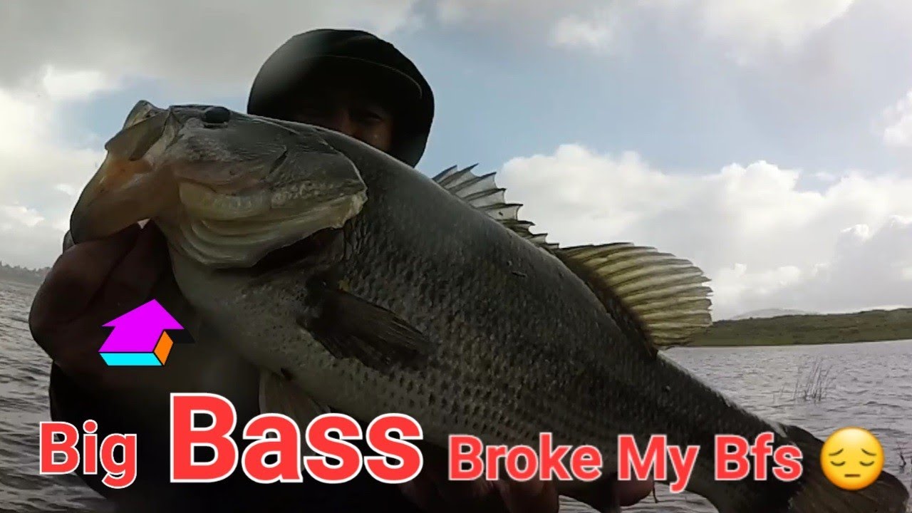 San Diego bfs fishing: Sweetwater Reservoir! Underspin/Kietech Easy Shiner!
