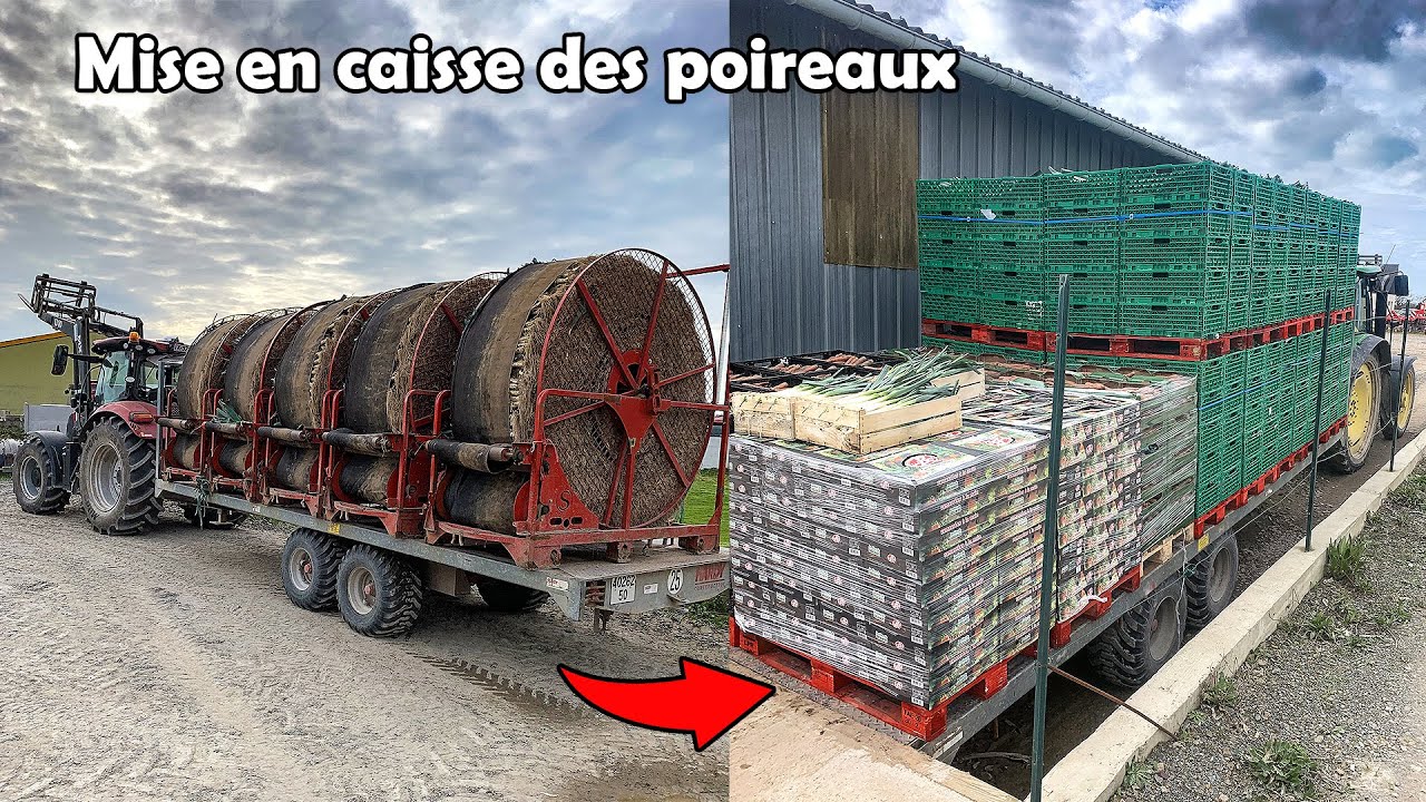 Conditionnement du poireau !! Je vous explique le fonctionnement de la laverie