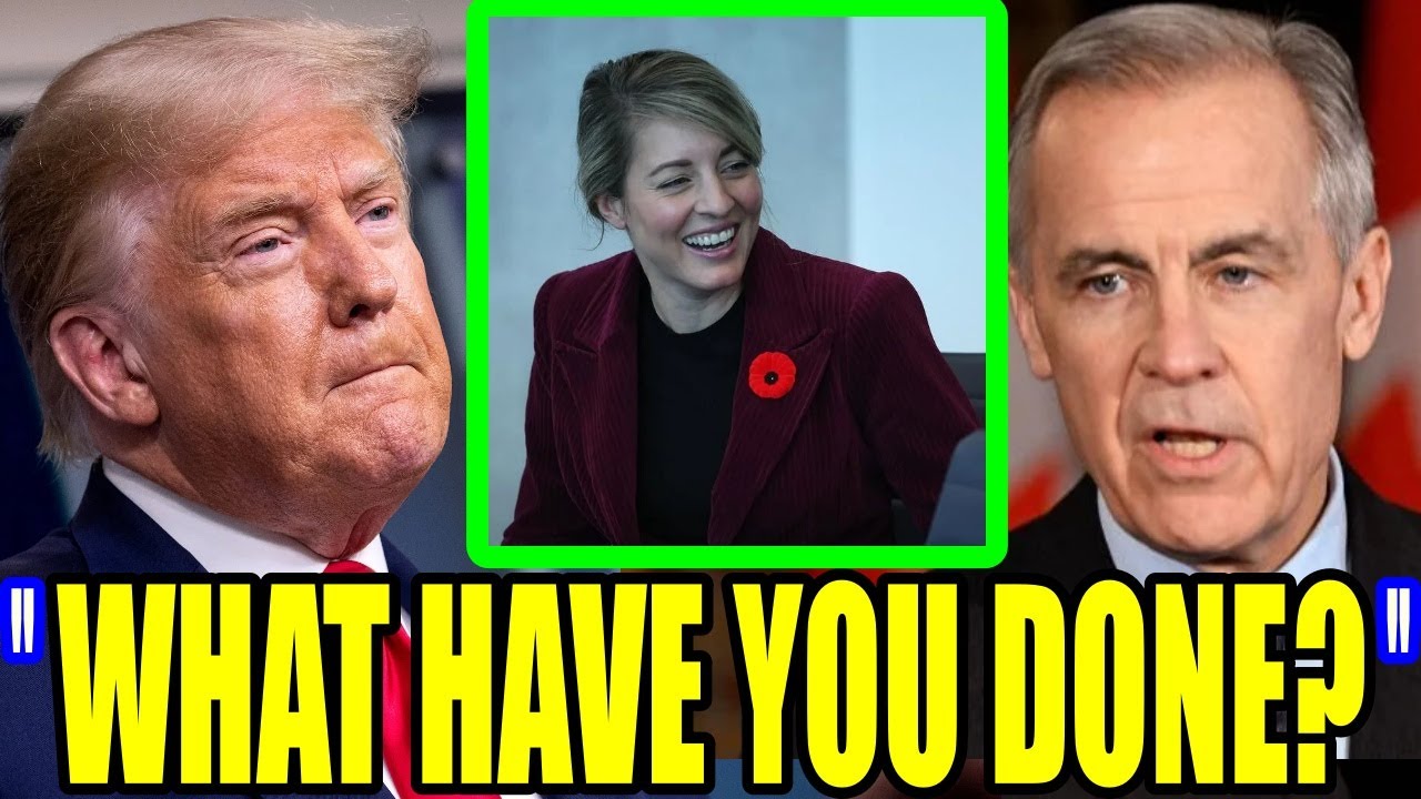 Carney HUMILIATES Trump ‘We DO NOT Live Because of the U.S'! Trump EXPLODES!
