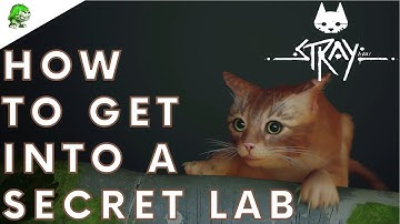 Stray - How to get a Secret Lab