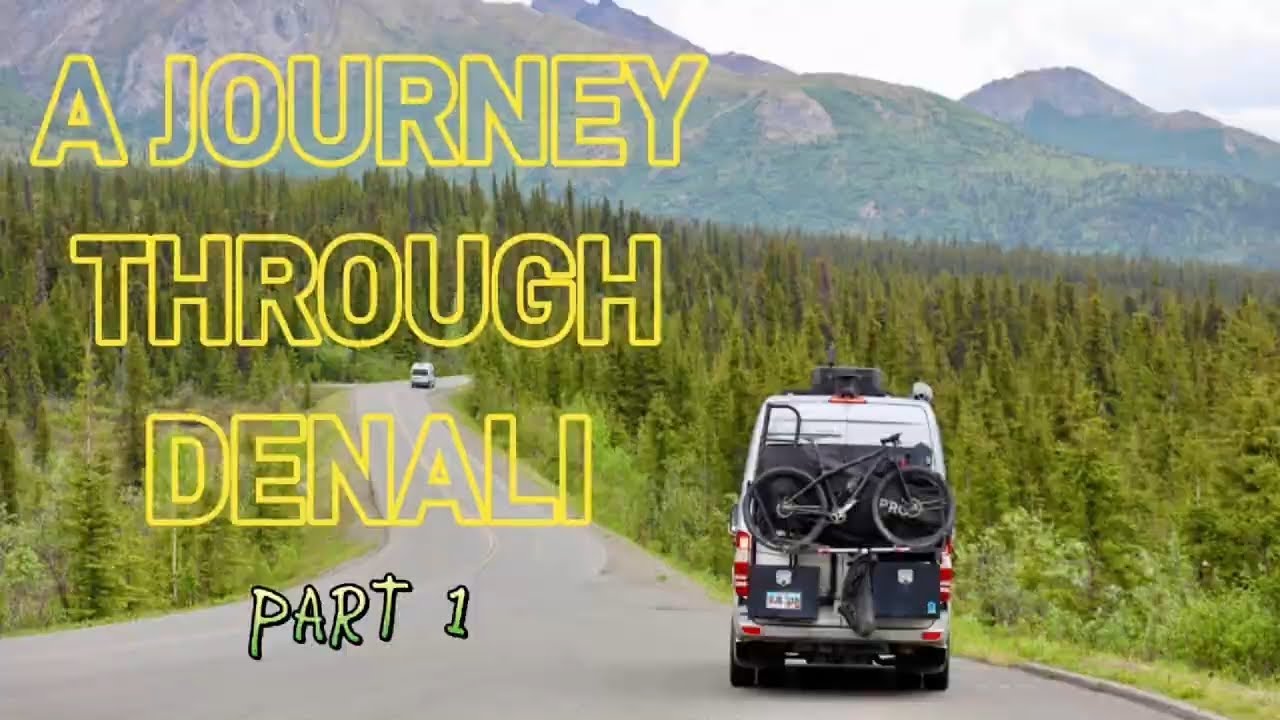 Beyond the Bus: Denali's Path Less Traveled