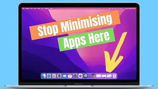 How to Minimise To App Icon Instead Of Dock on Mac screenshot 4