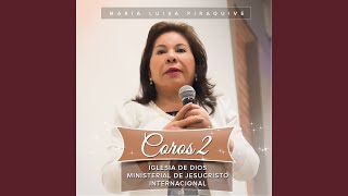Video thumbnail of "María Luisa Piraquive - Las Calles de Oro"