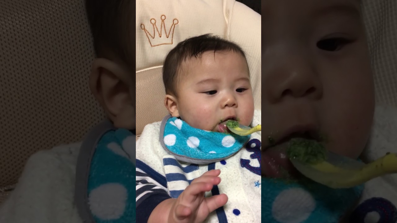 唸りながら食べる生後6ヶ月 Youtube 唸りながら食べる生後6ヶ月 Youtube