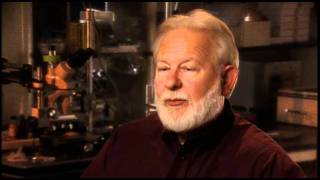 David Nichols: My graduate worked was focused on Mescaline analogs