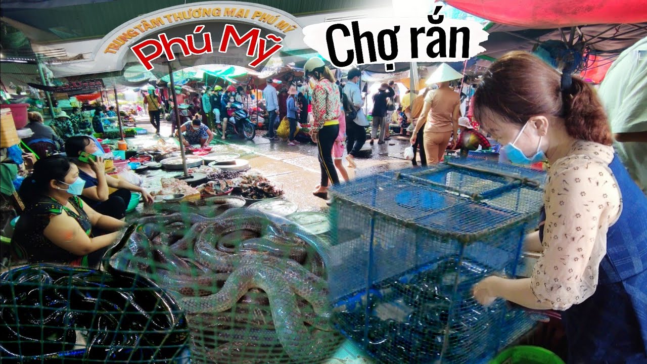 Chợ bán Rắn, Cá đồng nhiều nhất ở Phú Mỹ Phú Tân An Giang - YouTube