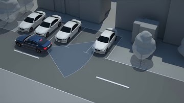 Around View Monitoring (AVM)