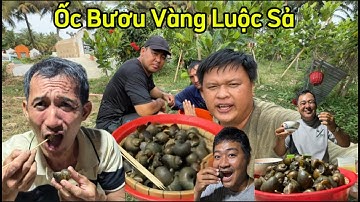Anh em sinh tồn bắt ốc bươu vàng về luộc sả nhâm nhi - Quẹo channel