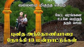 புனித அந்தோனியாரிடம் பதிமூன்று மன்றாட்டுக்கள் | அந்தோனியாரிடம் 13 மன்றாட்டு ஜெபம்