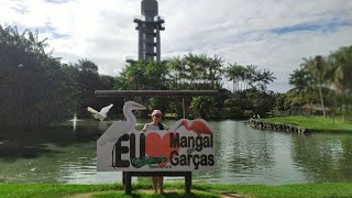 Mangal das garças - Belém - Pará, nilsonccb