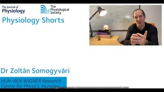 PHYSIOLOGY SHORTS: Seeing beyond the spikes: spatiotemporal membrane potential distribution