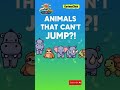 Animals That Can't Jump #WeirdFacts #learnsomethingnew #animals #educationalreels