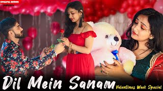 Dil Mein Sanam | Valentine's Week Special | Husband Wife Cute Love Story | Heart Touching | New Song