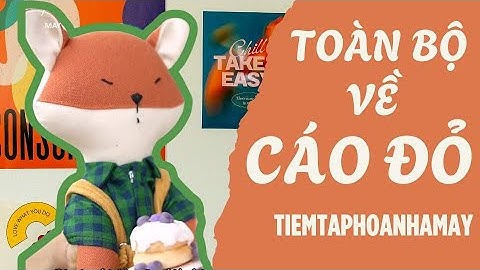 Tất tần tật về bé cáo bông Tiệm Tạp Hóa Nhà May